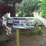 Things to do in Jamaica with Kids