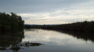 Black River Safari