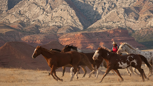 dude ranch vacations