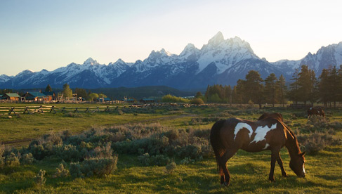 dude ranch vacations