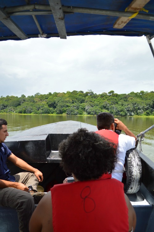 Bird watching in Nicaragua