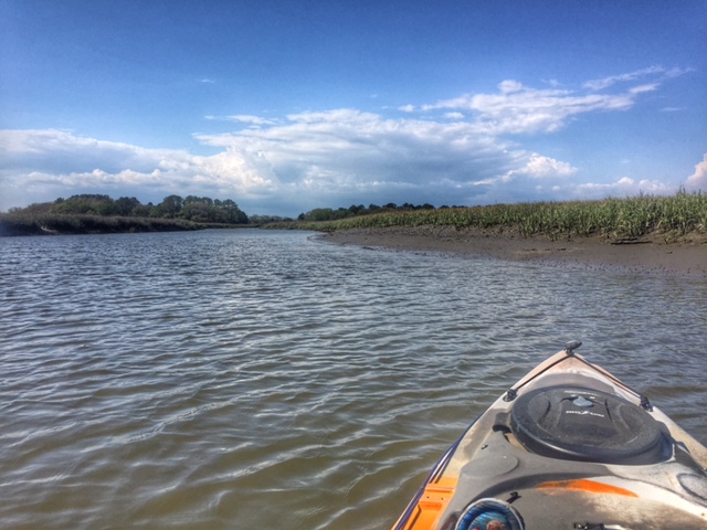 Kayaking in Charleston SC