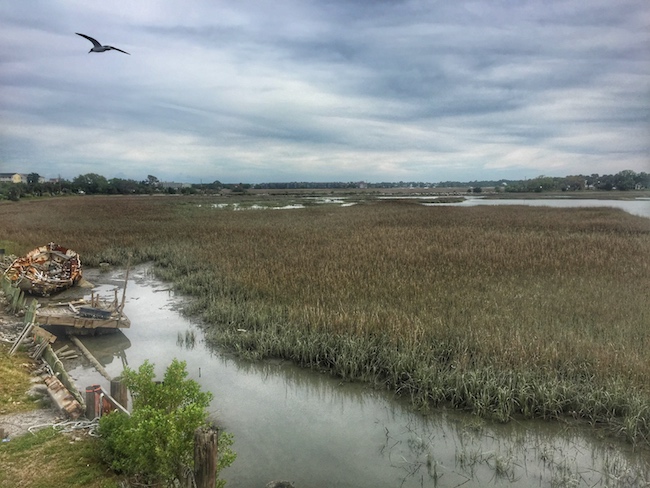 Kayak Fishing In Charleston Marsh